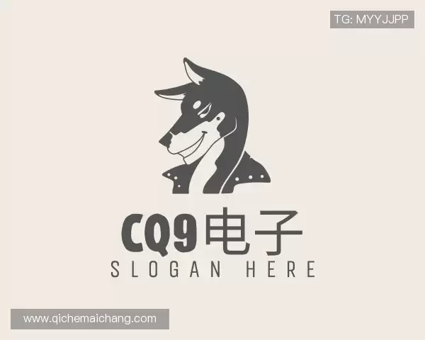 了解CQ9电子官方网址
